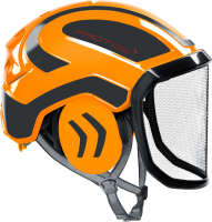 Forsthelm "Integral Arborist" F39 PROTOS® - feines Visier