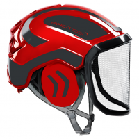 Forsthelm "Integral Arborist" F39 PROTOS® - feines Visier