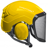 Forsthelm "Integral Arborist" F39 PROTOS® - feines Visier